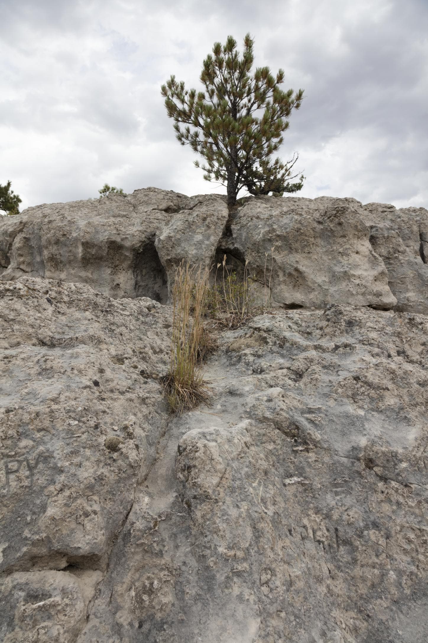 Wagon ruts cut several feet into sandstone on the Oregon Trail in Wyoming.