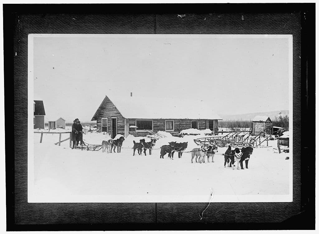 Dog teams in Alaska, 1916. Not the serum run; the work it was made of.