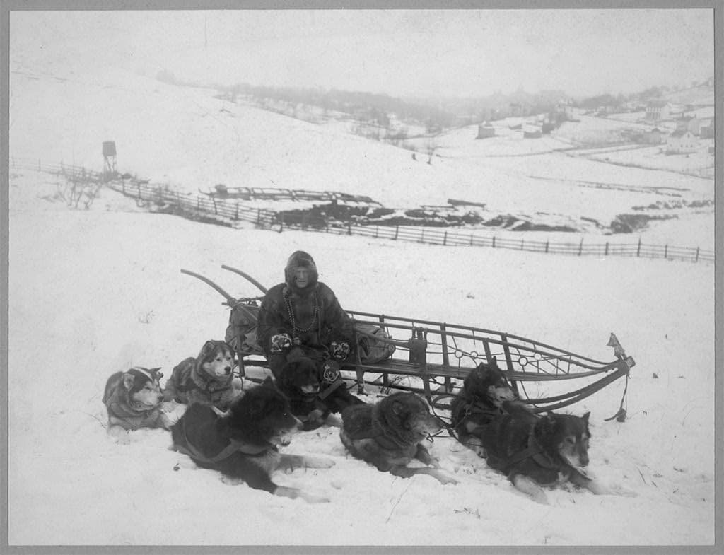 A dog team carrying mail in Alaska. The same relay of teams later carried the antitoxin.