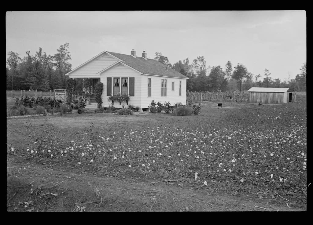 A resettlement house on its cleared farm unit, September 1935.