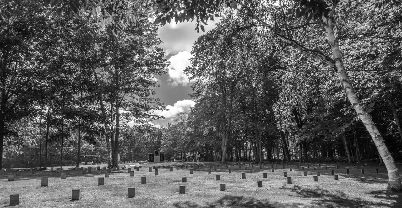 Pineland Patients Cemetery, where the state reburied the graves it dug up on Malaga.