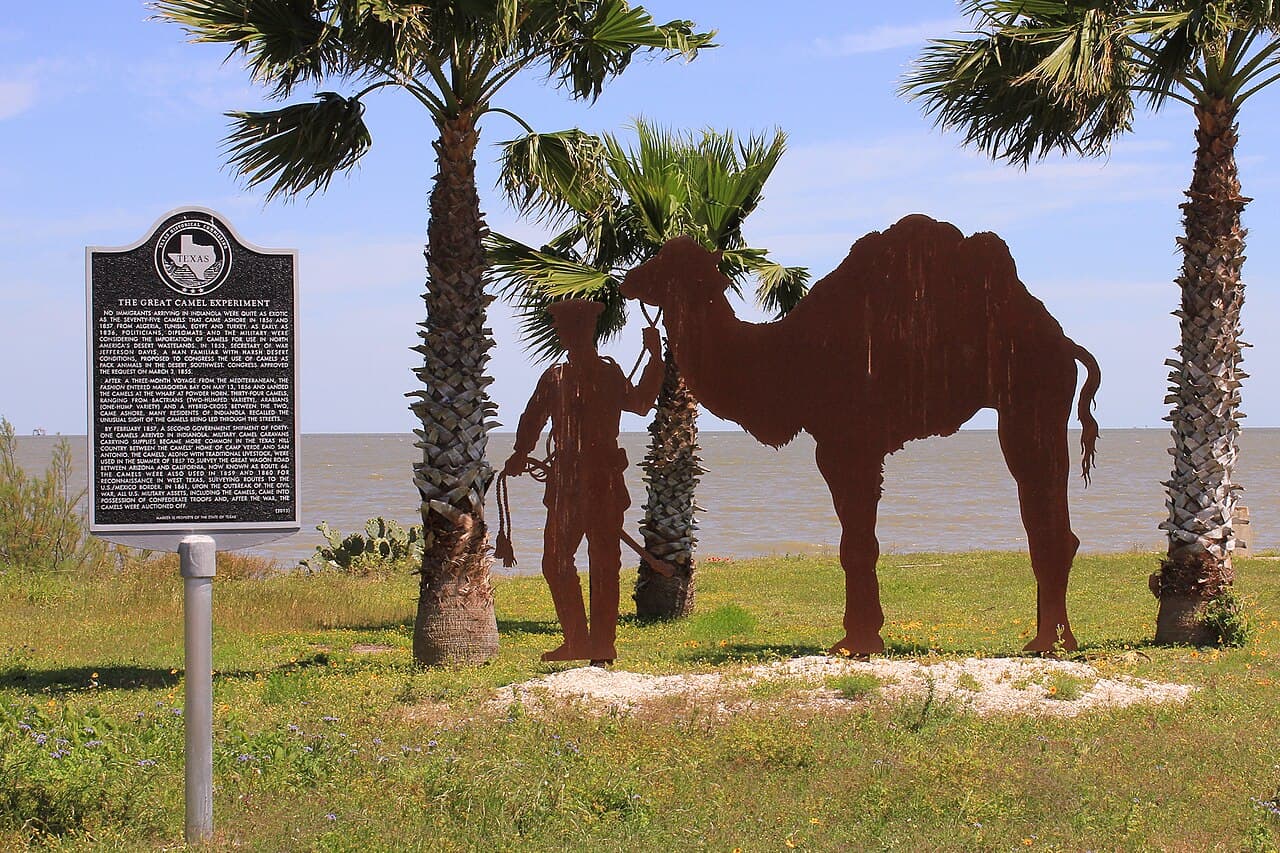 The state historical marker at Indianola, Texas, where the animals came ashore.